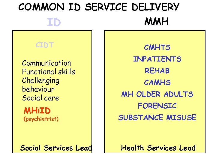 COMMON ID SERVICE DELIVERY ID CIDT Communication Functional skills Challenging behaviour Social care MHi.