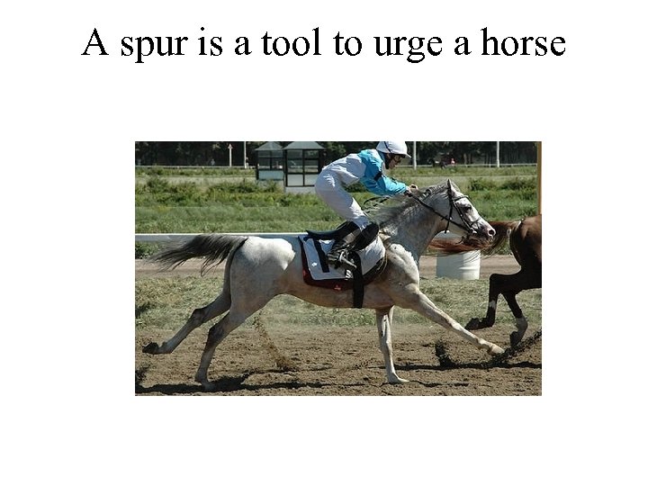 A spur is a tool to urge a horse 