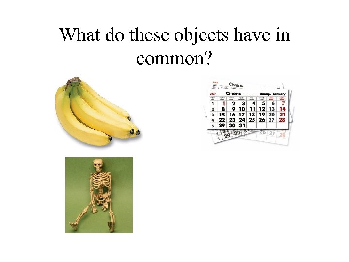 What do these objects have in common? 