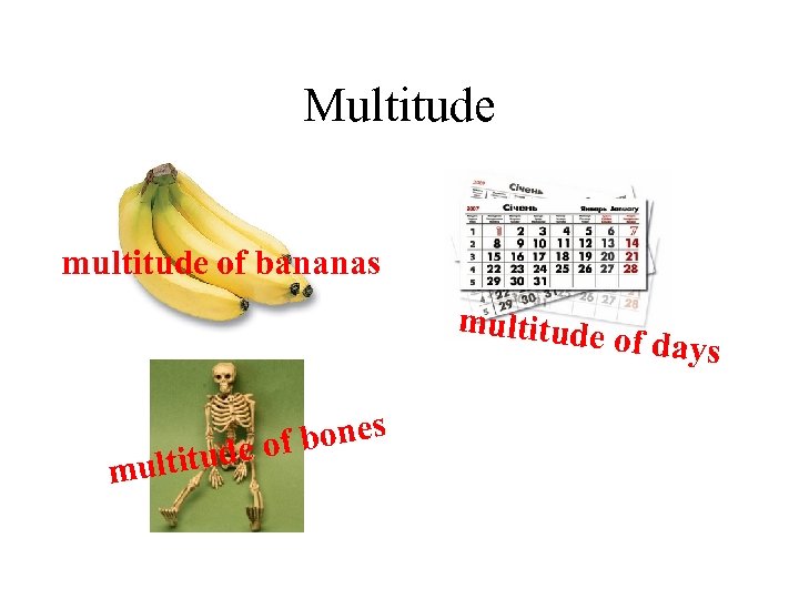 Multitude multitude of bananas multitude ultitu m bones de of of days 