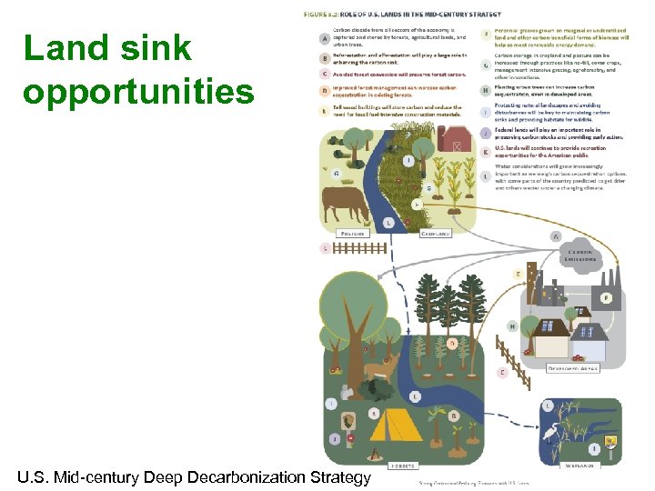 Land sink opportunities U. S. Mid-century Deep Decarbonization Strategy 