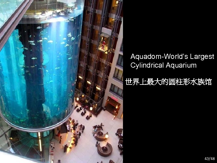 Aquadom-World’s Largest Cylindrical Aquarium 世界上最大的圆柱形水族馆 43/48 