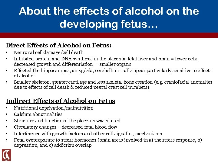 About the effects of alcohol on the developing fetus… Direct Effects of Alcohol on