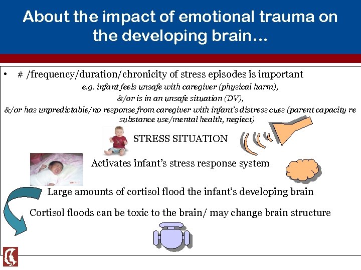 About the impact of emotional trauma on the developing brain… • # /frequency/duration/chronicity of