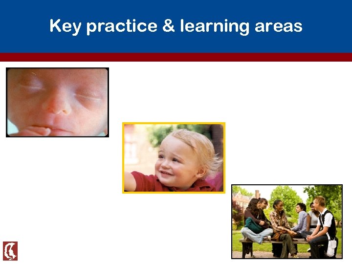 Key practice & learning areas 