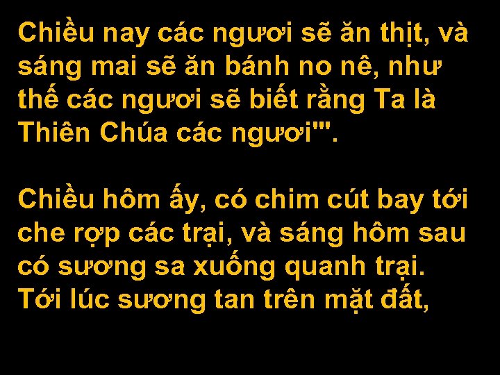 Chiều nay các ngươi sẽ ăn thịt, và sáng mai sẽ ăn bánh no