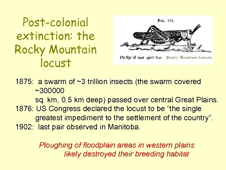 Post-colonial extinction: the Rocky Mountain locust 1875: a swarm of ~3 trillion insects (the