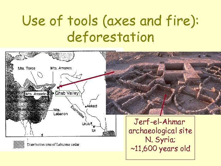 Use of tools (axes and fire): deforestation Jerf-el-Ahmar archaeological site N. Syria; ~11, 600