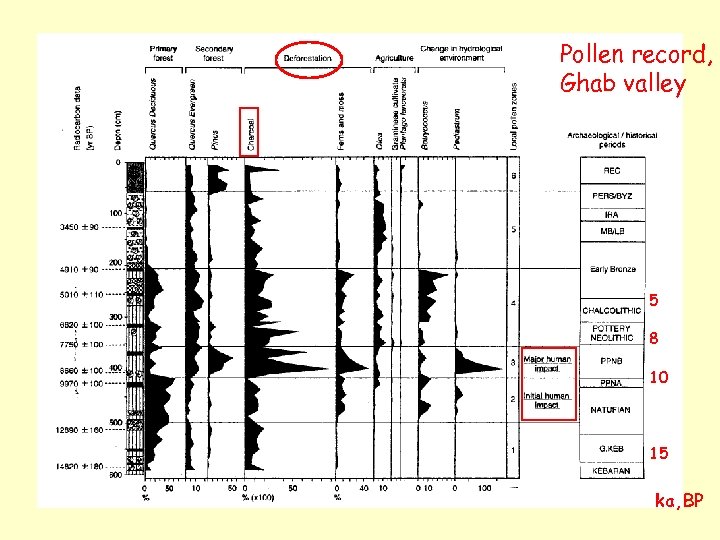 Pollen record, Ghab valley 5 8 10 15 ka, BP 