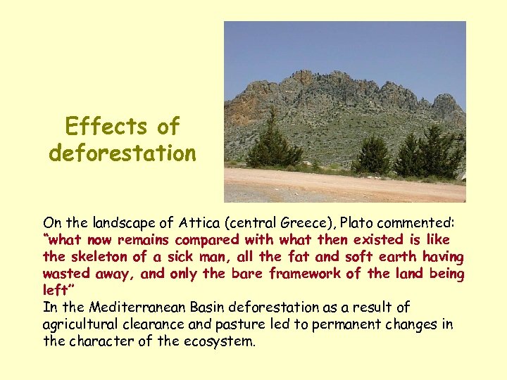 Effects of deforestation On the landscape of Attica (central Greece), Plato commented: “what now