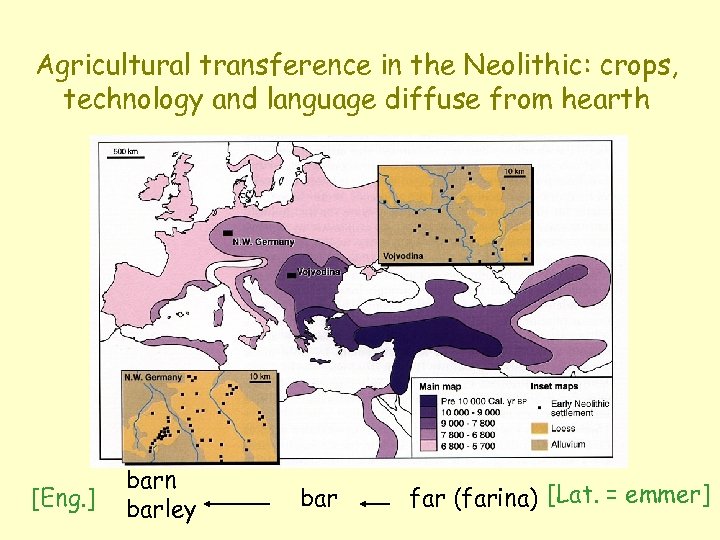 Agricultural transference in the Neolithic: crops, technology and language diffuse from hearth [Eng. ]