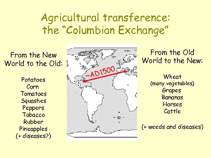 Agricultural transference: the “Columbian Exchange” From the New World to the Old: Potatoes Corn