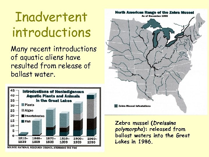 Inadvertent introductions Many recent introductions of aquatic aliens have resulted from release of ballast