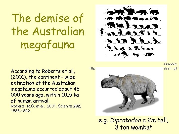 The demise of the Australian megafauna According to Roberts et al. , (2001), the