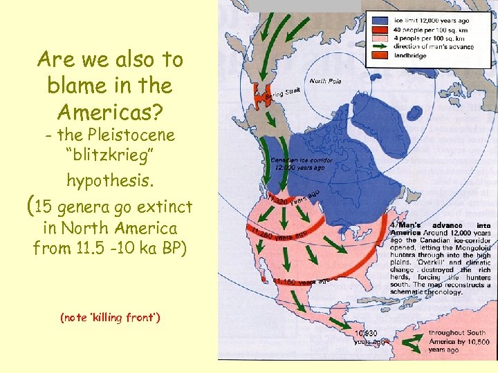 Are we also to blame in the Americas? - the Pleistocene “blitzkrieg” hypothesis. (15