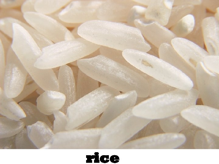 rice 