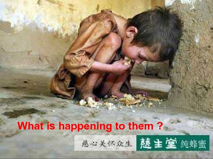 What is happening to them ? 