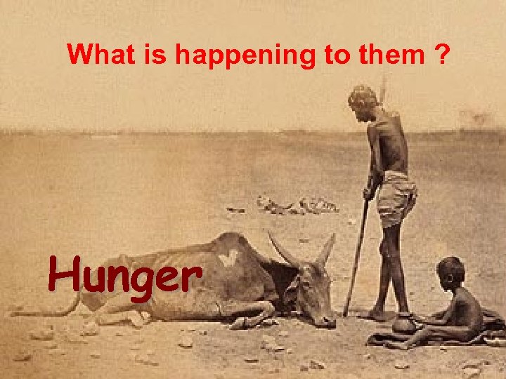 What is happening to them ? Hunger 