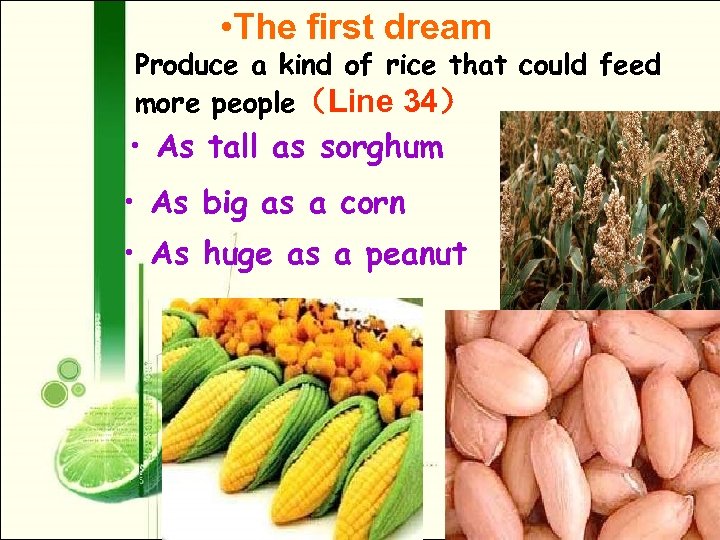  • The first dream Produce a kind of rice that could feed more