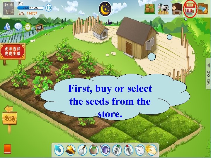 First, buy or select the seeds from the store. 