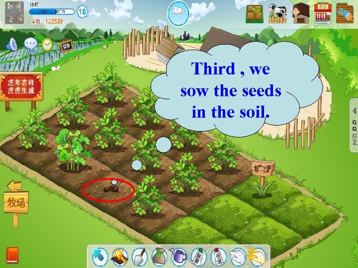 Third , we sow the seeds in the soil. 