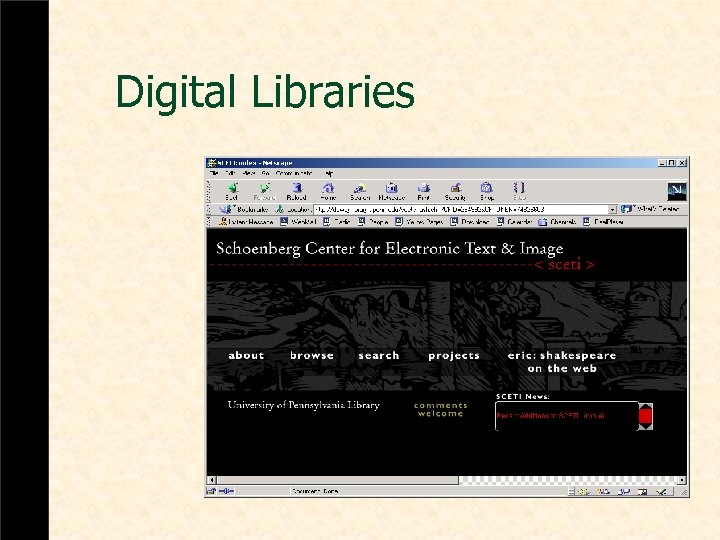 Digital Libraries 