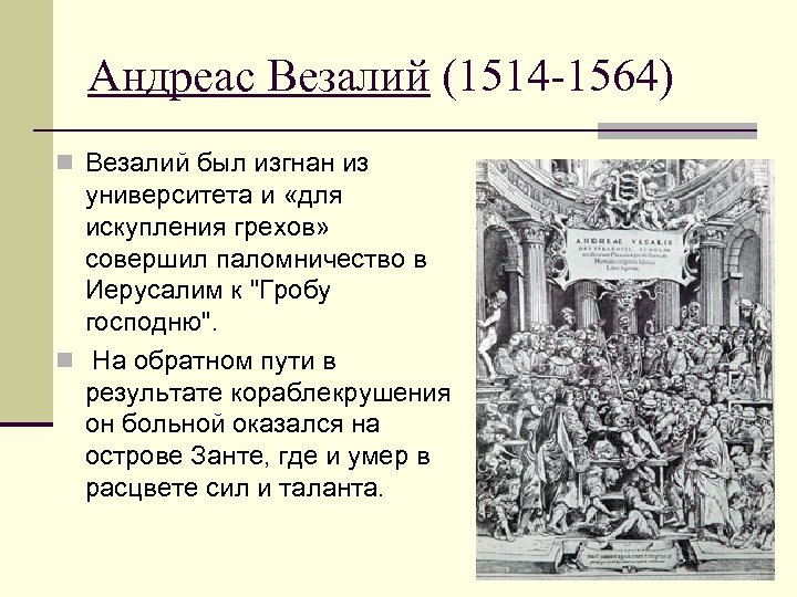 Андреас Везалий (1514 -1564) n Везалий был изгнан из университета и «для искупления грехов»