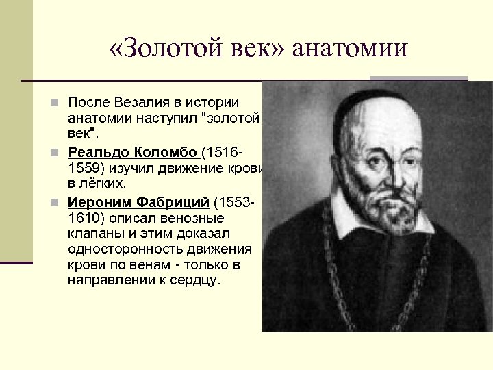  «Золотой век» анатомии n После Везалия в истории анатомии наступил "золотой век". n