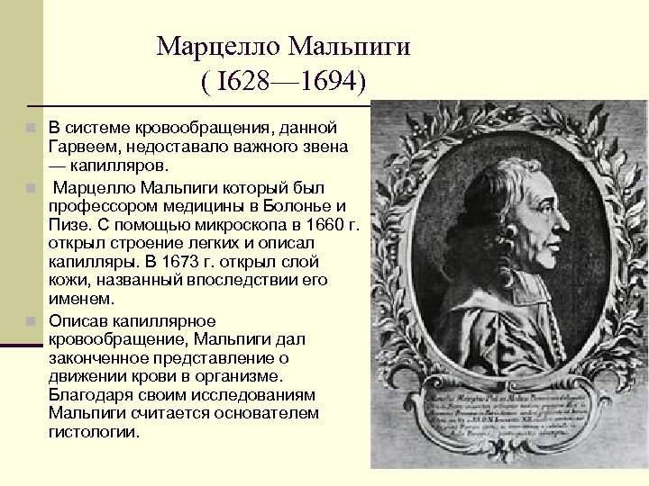 Марцелло Мальпиги ( I 628— 1694) n В системе кровообращения, данной Гарвеем, недоставало важного