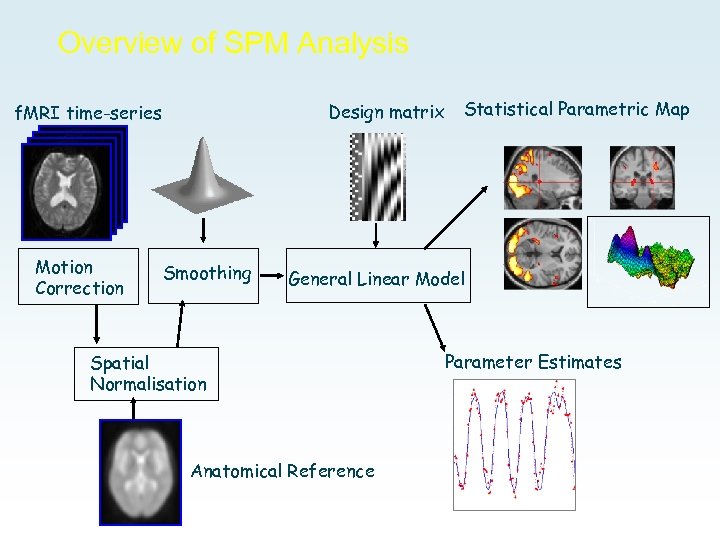 Overview of SPM Analysis Design matrix f. MRI time-series Motion Correction Smoothing Statistical Parametric