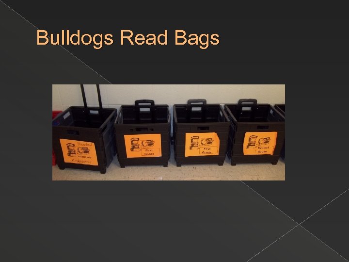 Bulldogs Read Bags 