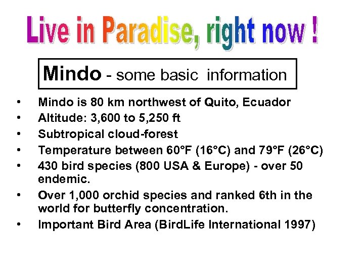 Mindo - some basic • • information Mindo is 80 km northwest of Quito,