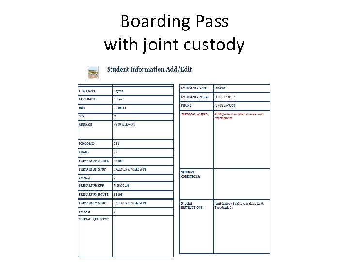Boarding Pass with joint custody 