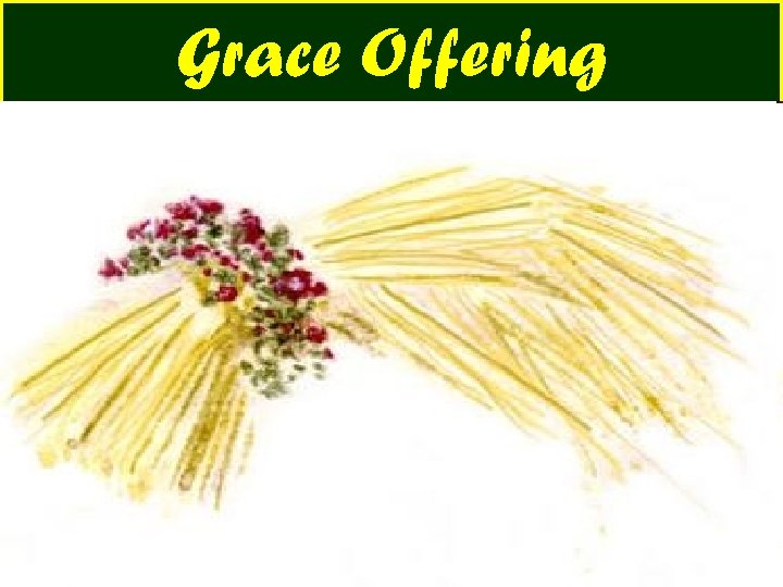 Grace Offering 