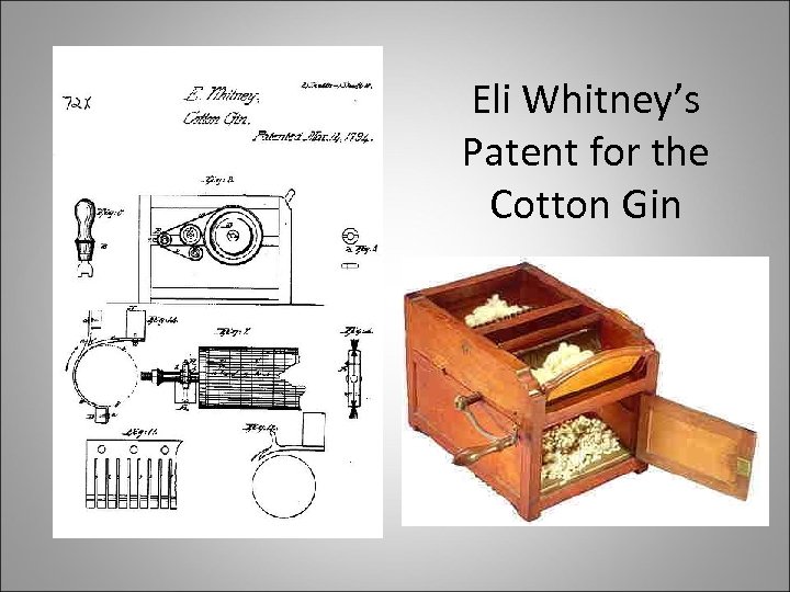 Eli Whitney’s Patent for the Cotton Gin 