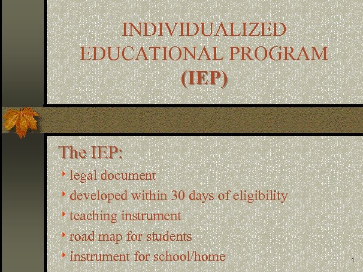 INDIVIDUALIZED EDUCATIONAL PROGRAM (IEP) The IEP: 8 legal document 8 developed within 30 days