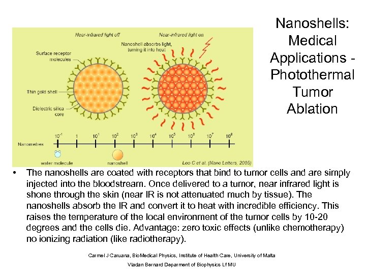 Nanoshells: Medical Applications Photothermal Tumor Ablation • The nanoshells are coated with receptors that