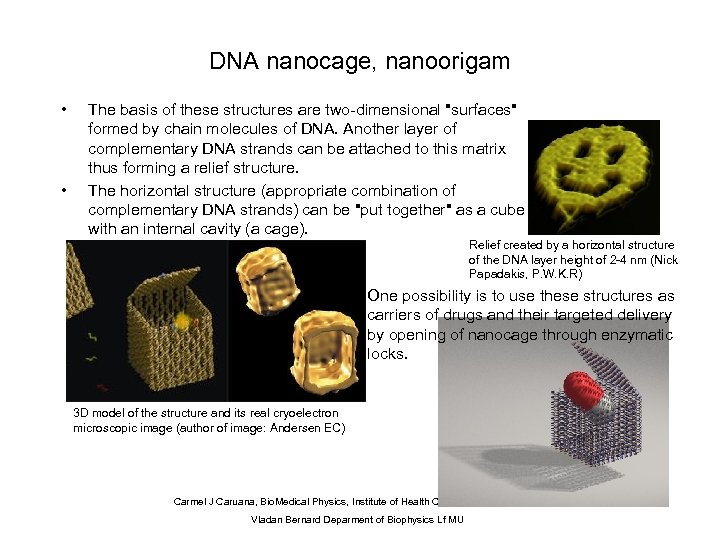 DNA nanocage, nanoorigam • • The basis of these structures are two-dimensional "surfaces" formed