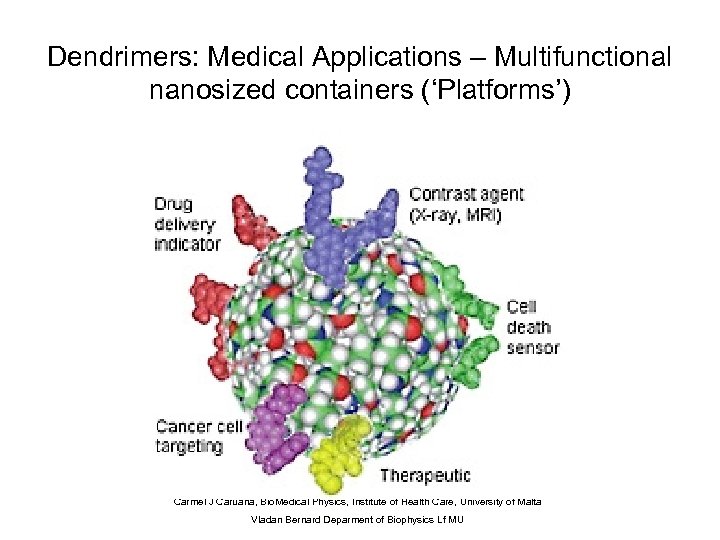 Dendrimers: Medical Applications – Multifunctional nanosized containers (‘Platforms’) Carmel J Caruana, Bio. Medical Physics,