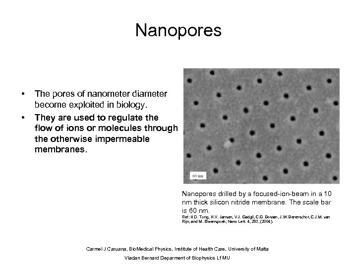 Nanopores • • The pores of nanometer diameter become exploited in biology. They are