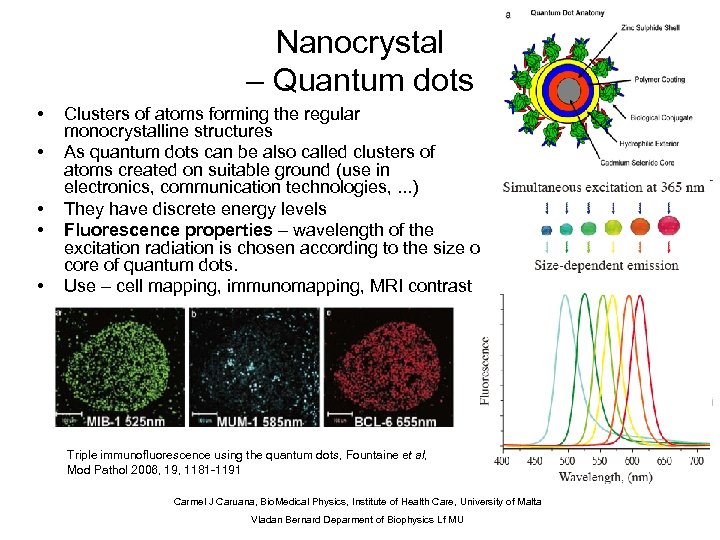 Nanocrystal – Quantum dots • • • Clusters of atoms forming the regular monocrystalline