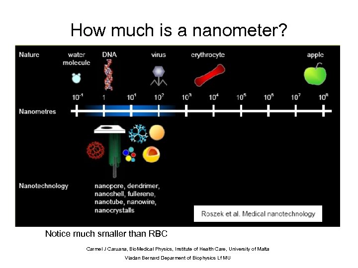 How much is a nanometer? Notice much smaller than RBC Carmel J Caruana, Bio.