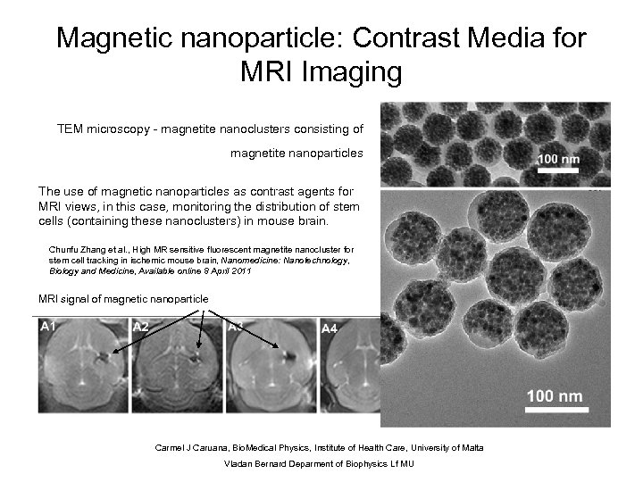 Magnetic nanoparticle: Contrast Media for MRI Imaging TEM microscopy - magnetite nanoclusters consisting of