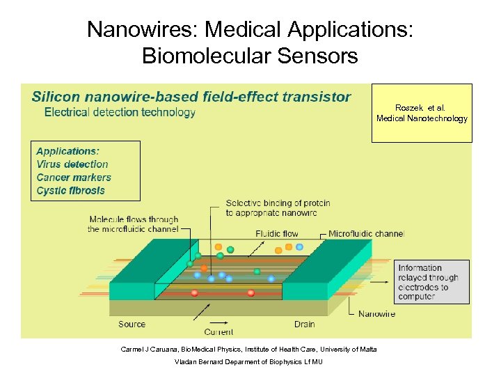 Nanowires: Medical Applications: Biomolecular Sensors Roszek et al. Medical Nanotechnology Carmel J Caruana, Bio.