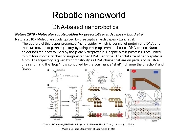 Robotic nanoworld DNA-based nanorobotics Nature 2010 - Molecular robots guided by prescriptive landscapes –