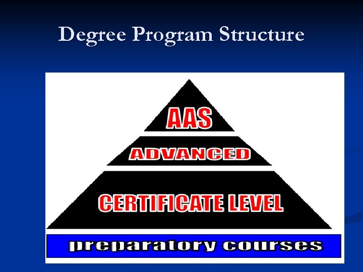 Degree Program Structure 