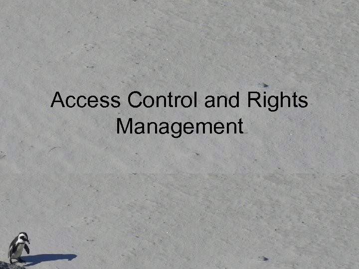 Access Control and Rights Management 