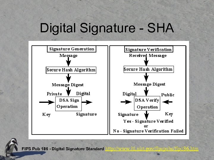 Digital Signature - SHA FIPS Pub 186 - Digital Signature Standard http: //www. itl.