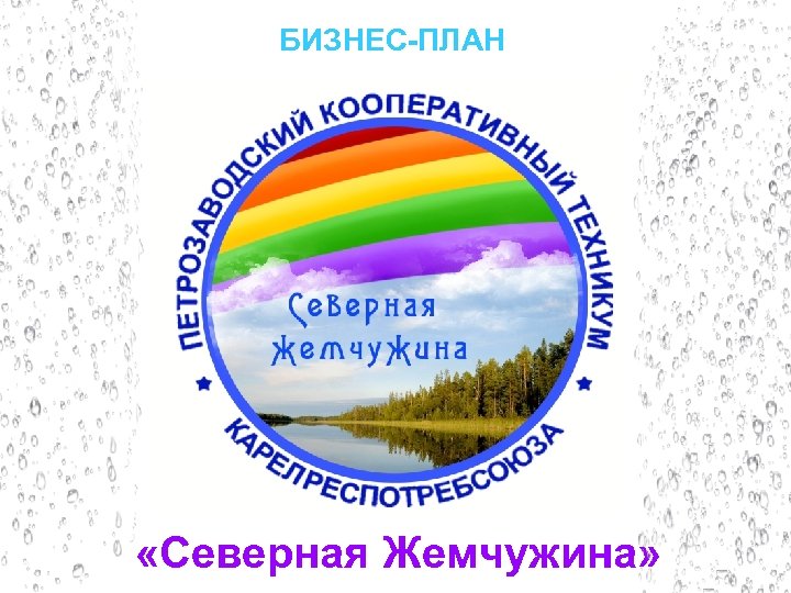БИЗНЕС-ПЛАН «Северная Жемчужина» 