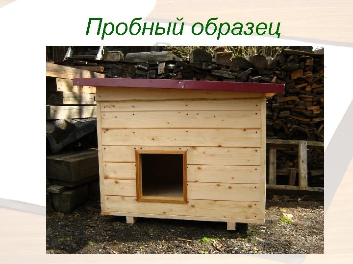 Пробный образец 